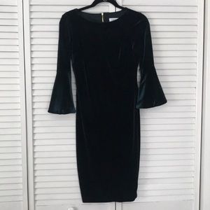 Calvin Klein Evergreen Velvet Bell Sleeved Dress